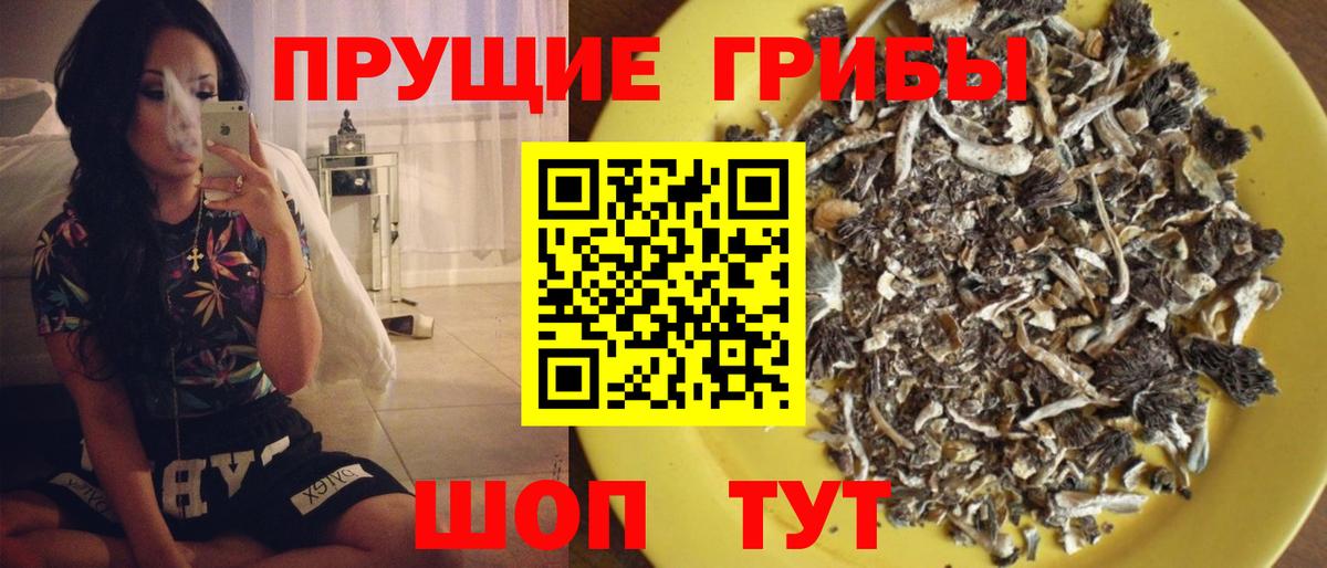 Псилоцибиновые грибы прущие грибы Качканар