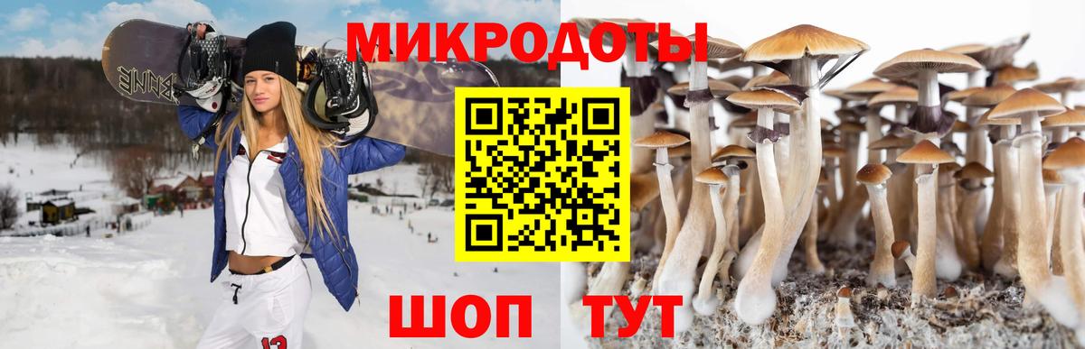 Качканар  Псилоцибиновые грибы прущие грибы  Вход с VPN 